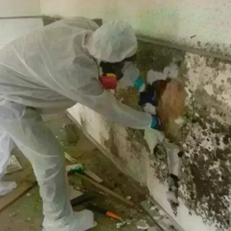 Mold Remediation and Removal in North Attleborough Center, MA